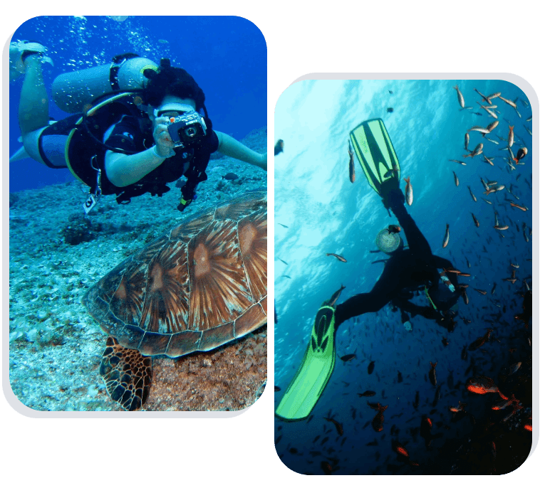 A person in scuba gear and another person swimming with a turtle.